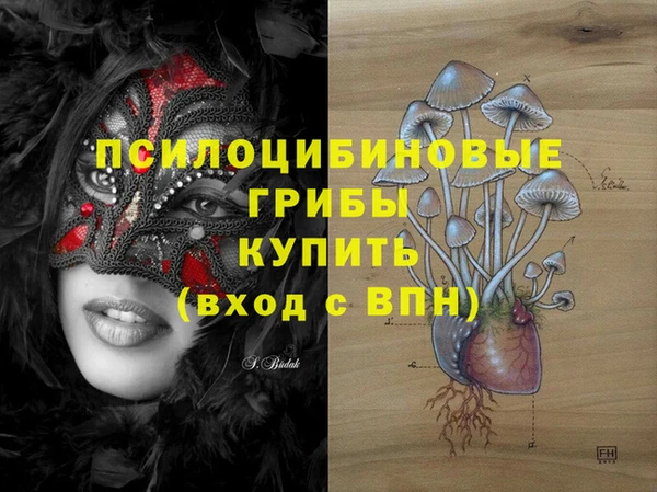 ГАЛЛЮЦИНОГЕННЫЕ ГРИБЫ Грязи