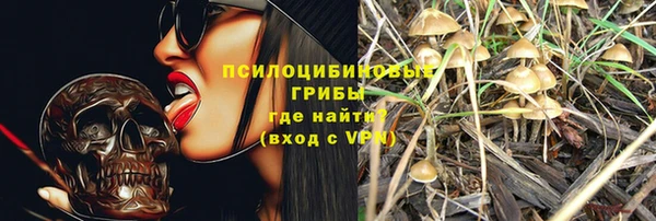 сатива Баксан