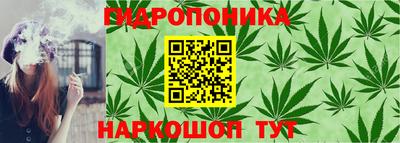 прущие грибы Конаково