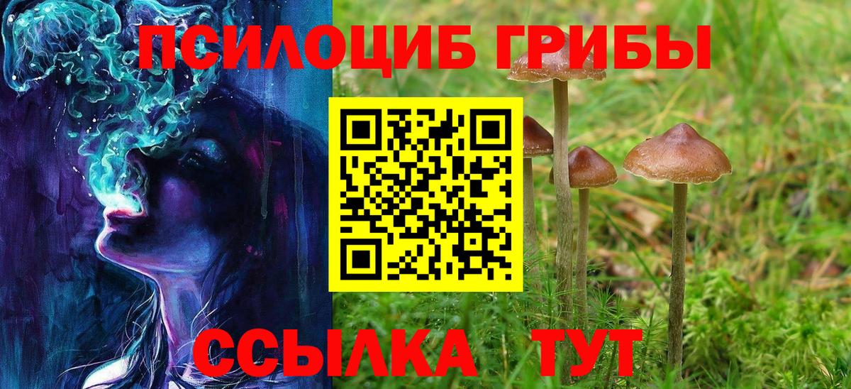 Галлюциногенные грибы мицелий Лабинск